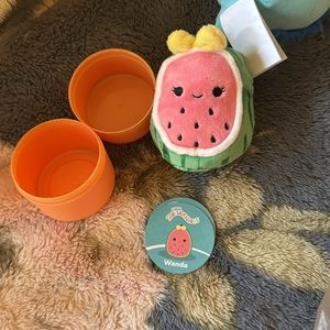 Wanda the watermelon squishville squishmallow NWT